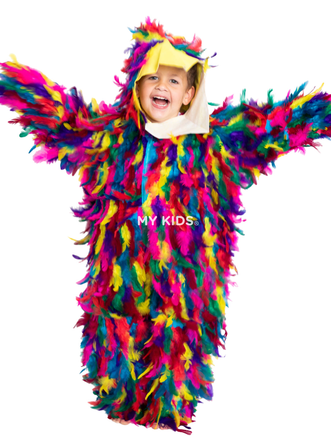 Pajarito Colores