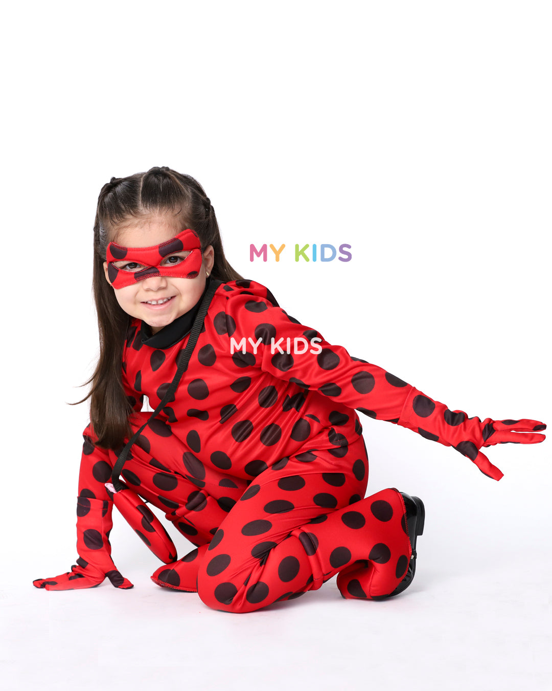 Ladybug